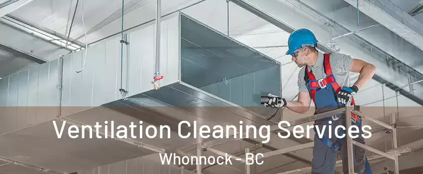  Ventilation Cleaning Services Whonnock - BC