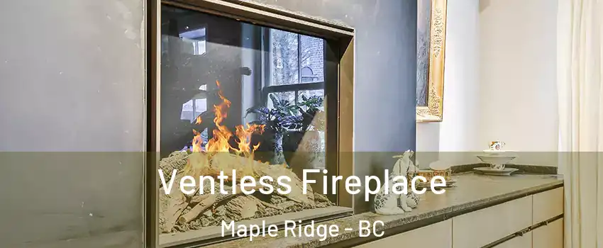  Ventless Fireplace Maple Ridge - BC