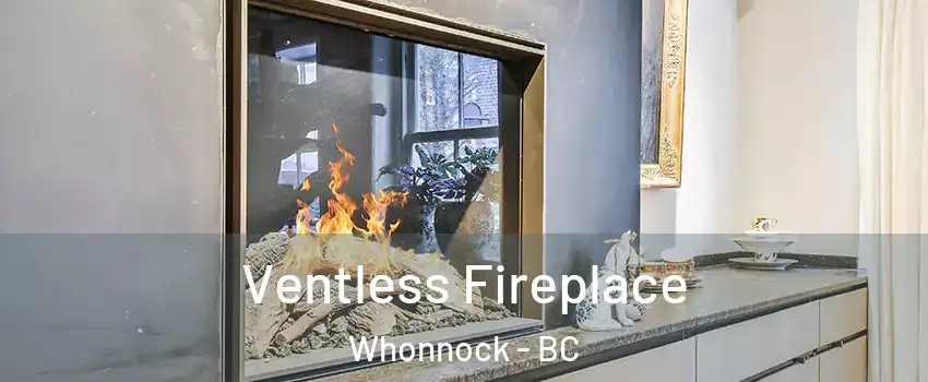  Ventless Fireplace Whonnock - BC