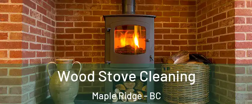  Wood Stove Cleaning Maple Ridge - BC