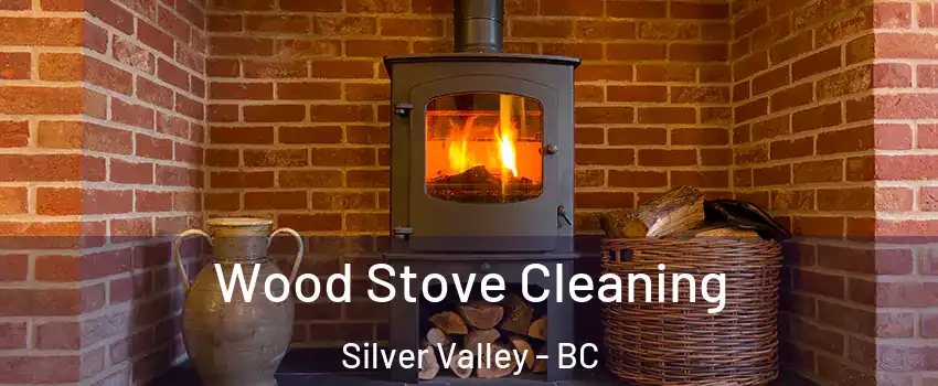  Wood Stove Cleaning Silver Valley - BC