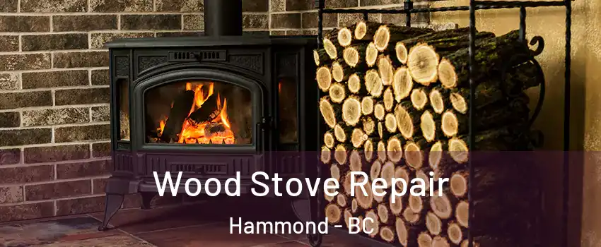  Wood Stove Repair Hammond - BC